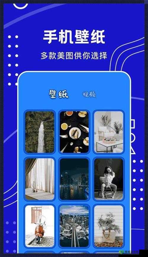 混乱小镇公交车售票员职责：工作要点与规范