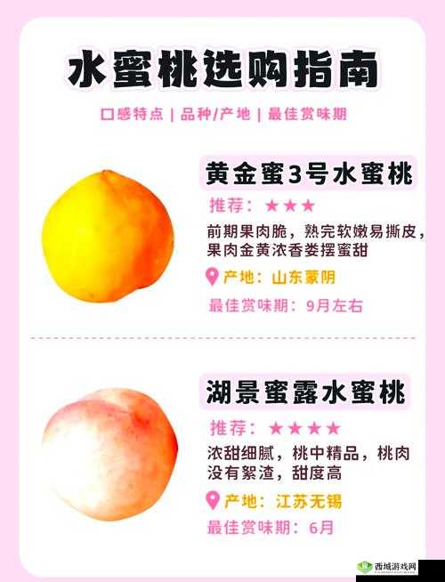 水蜜桃一卡2卡3卡4卡：全面解析不同卡种的特点与适用场景，助你轻松选择最佳方案