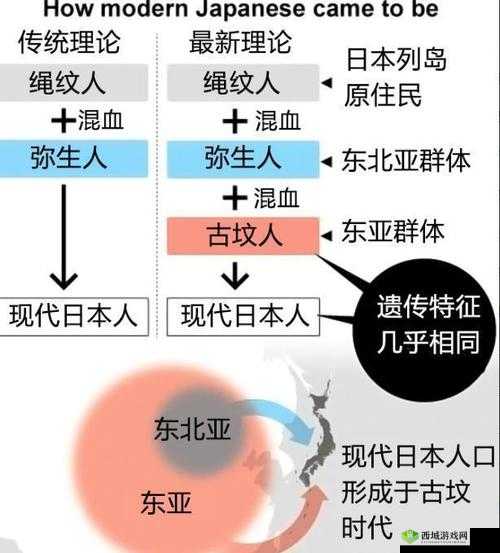 揭秘日本亲近相尾换伴的传统习俗：历史背景与现代意义深度解析